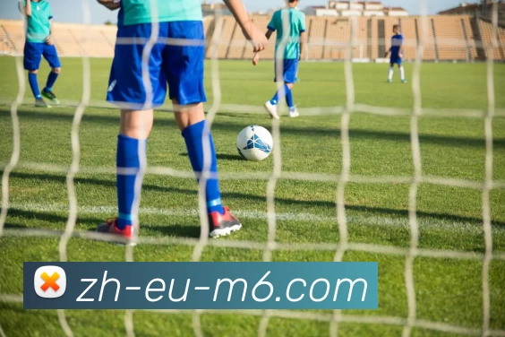 M19体育投注平台平台生态图