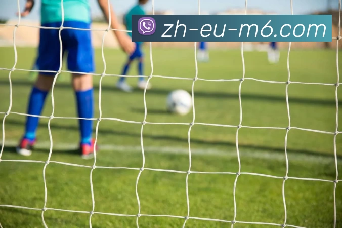 M19体育投注平台APP 封面图